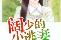 娱乐吃瓜酱妻子小说阅读